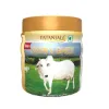 Picture of Patanjali Ghee - 500g